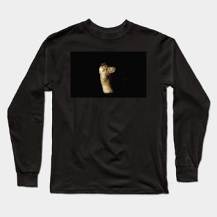 posing mouse Long Sleeve T-Shirt